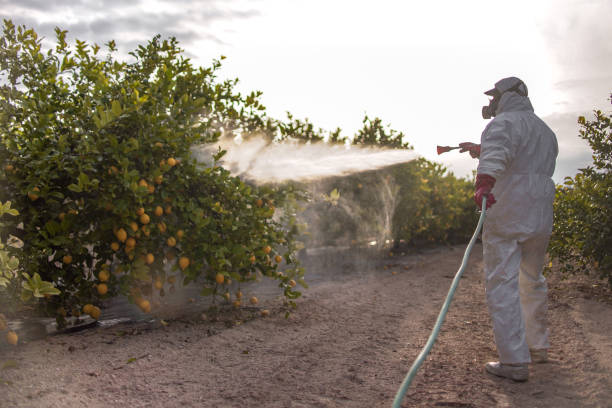 Best Best Pest Control Companies  in Lake City, IA