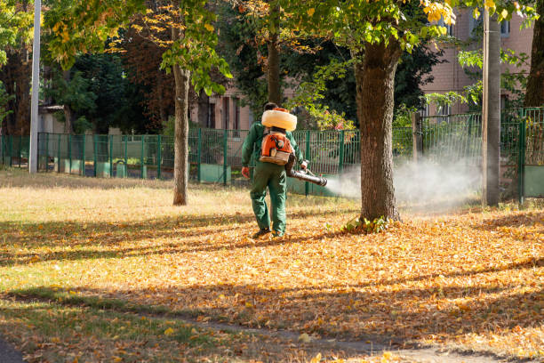 Wasp Removal Services in Lake City, IA